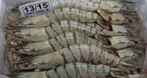 Котировки-на-мороженую-рыбу-из-Вьетнама