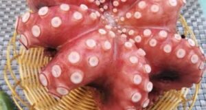 Цены-на-мороженный-кальмар-и-морепродукты