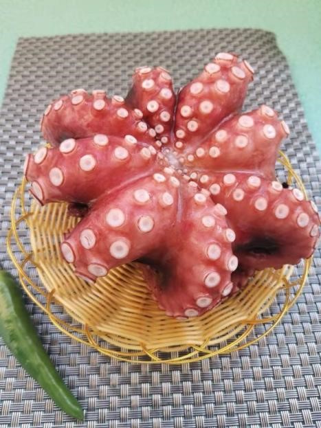 Цены-на-мороженный-кальмар-и-морепродукты