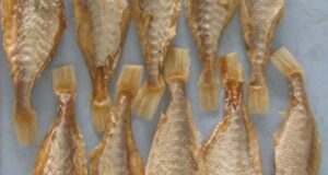 Сушеные-морепродукты-из-Вьетнама.-Цены-от-5-мая-2023